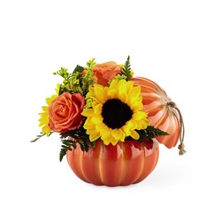 The  Harvest Traditions Pumpkin from Parkway Florist in Pittsburgh PA